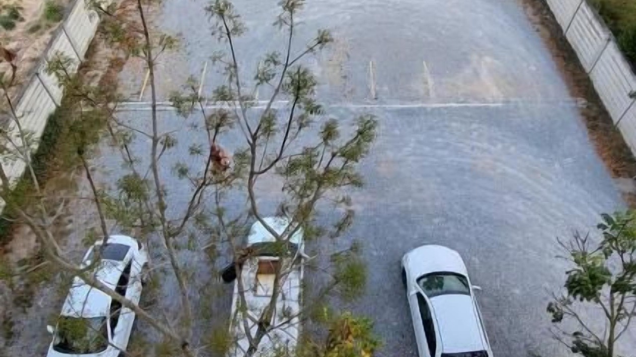 Photo of Outdoor in Map Yang Phon