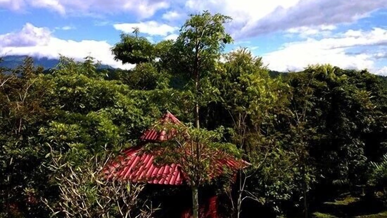 Photo of Others in Mae Chaem