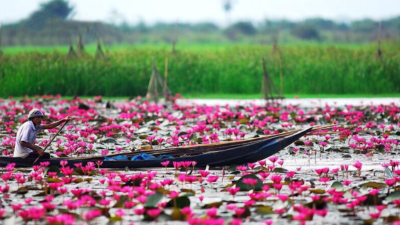 Photo of Others in Nakhon Sawan