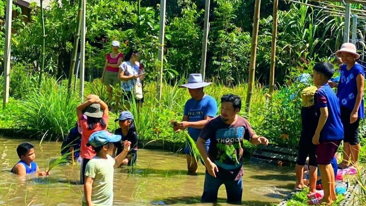 Photo of Others in Suan Phueng