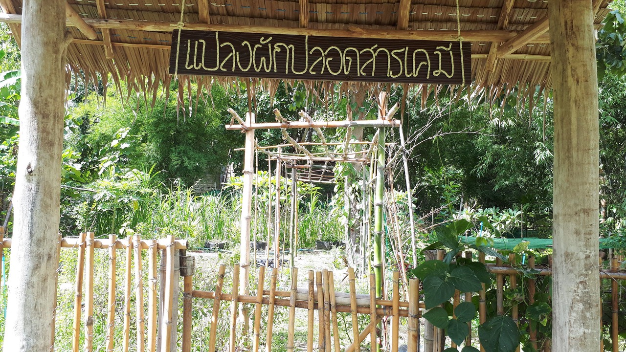 Photo of Others in Suan Phueng