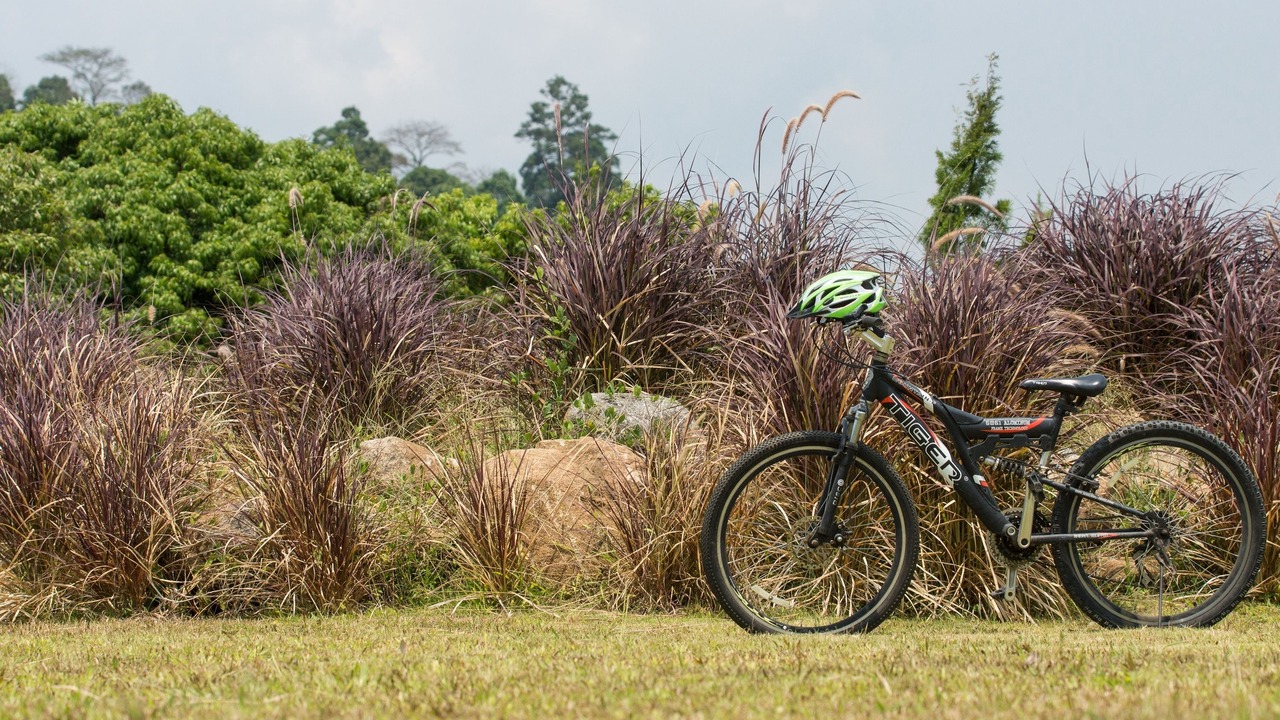 Photo of Outdoor in Thap Sai