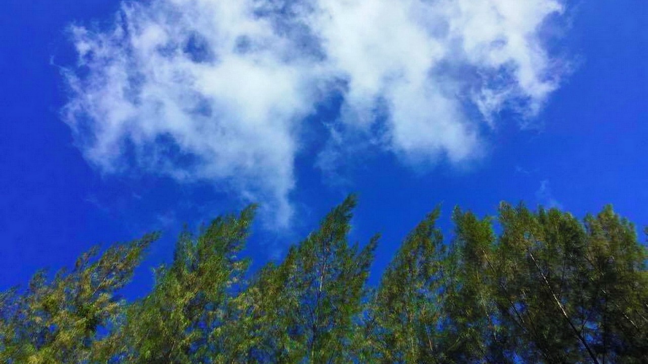 Photo of Outdoor in Rayong