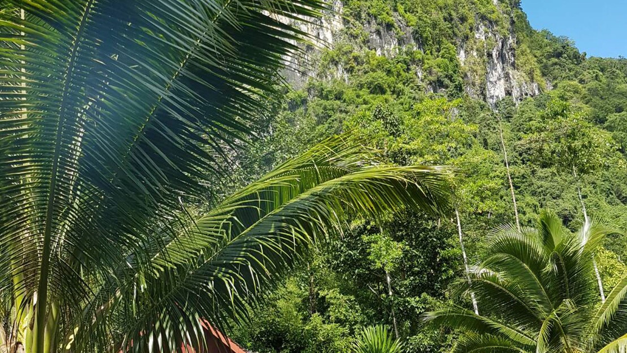 Photo of Outdoor in Krabi