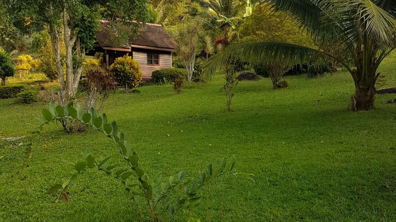 Photo of Outdoor in Krabi
