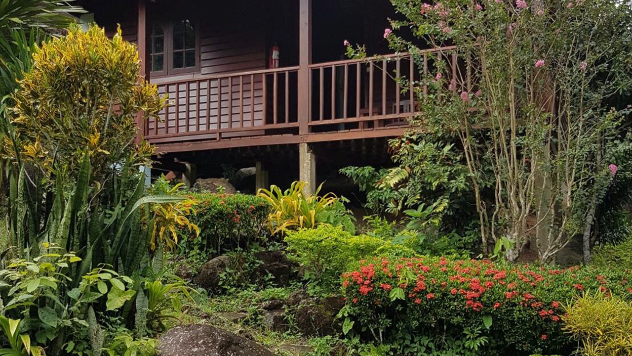 Photo of Outdoor in Krabi