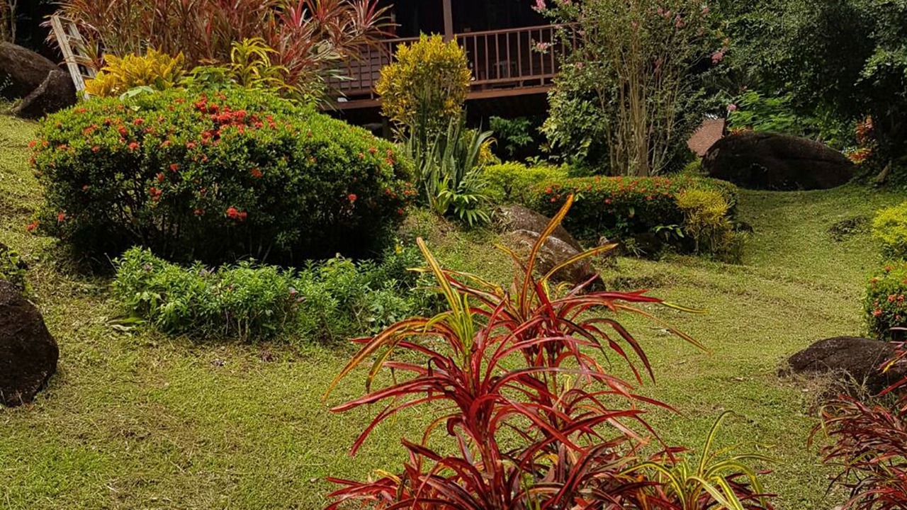 Photo of Outdoor in Krabi