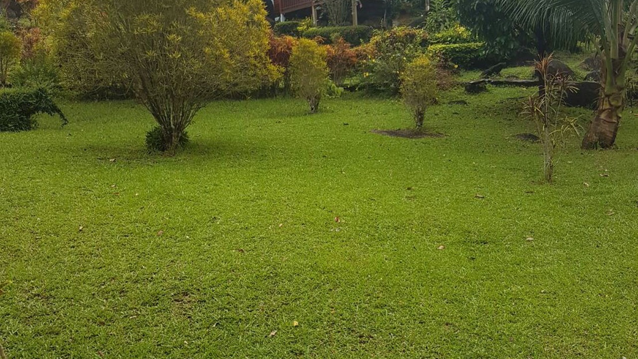 Photo of Outdoor in Krabi