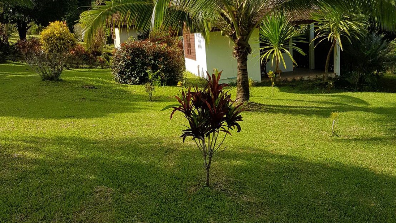 Photo of Outdoor in Krabi