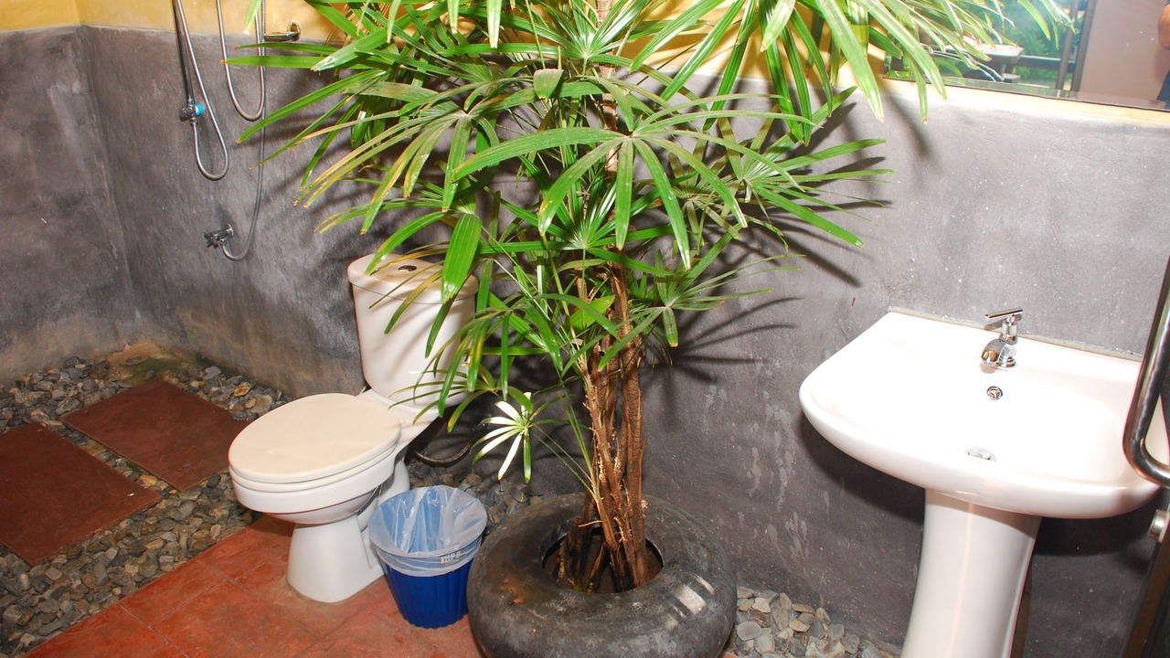 Photo of Bathroom in Wang Pong