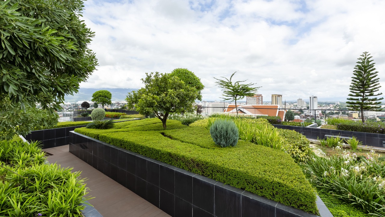 Photo of Outdoor in Chang Khlan