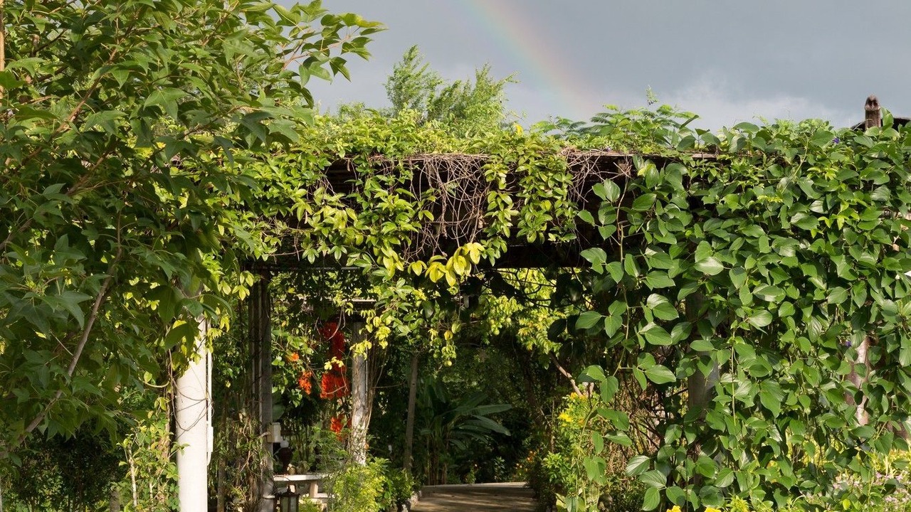 Photo of Outdoor in Mae Pu Kha