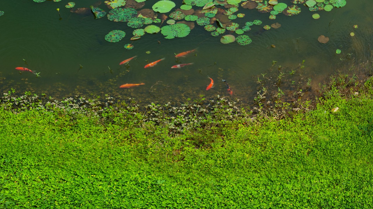 Photo of Outdoor in Nong Bua