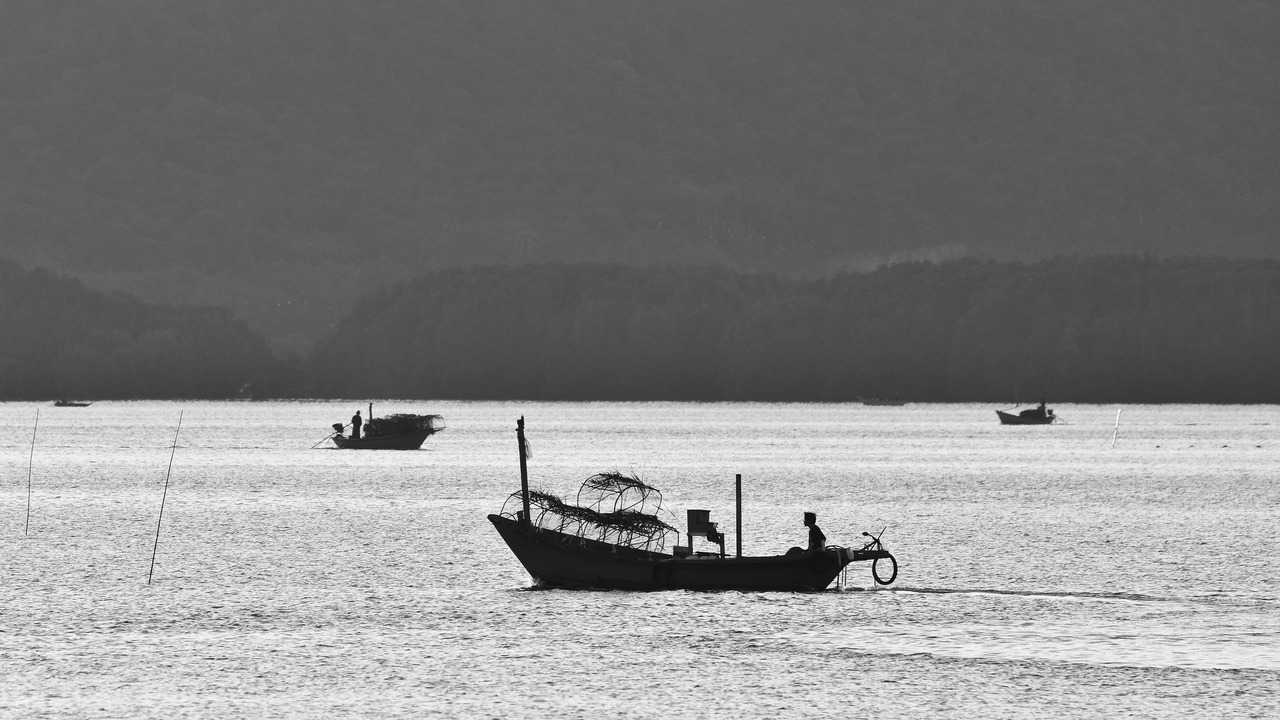 Photo of Others in Nong Bua
