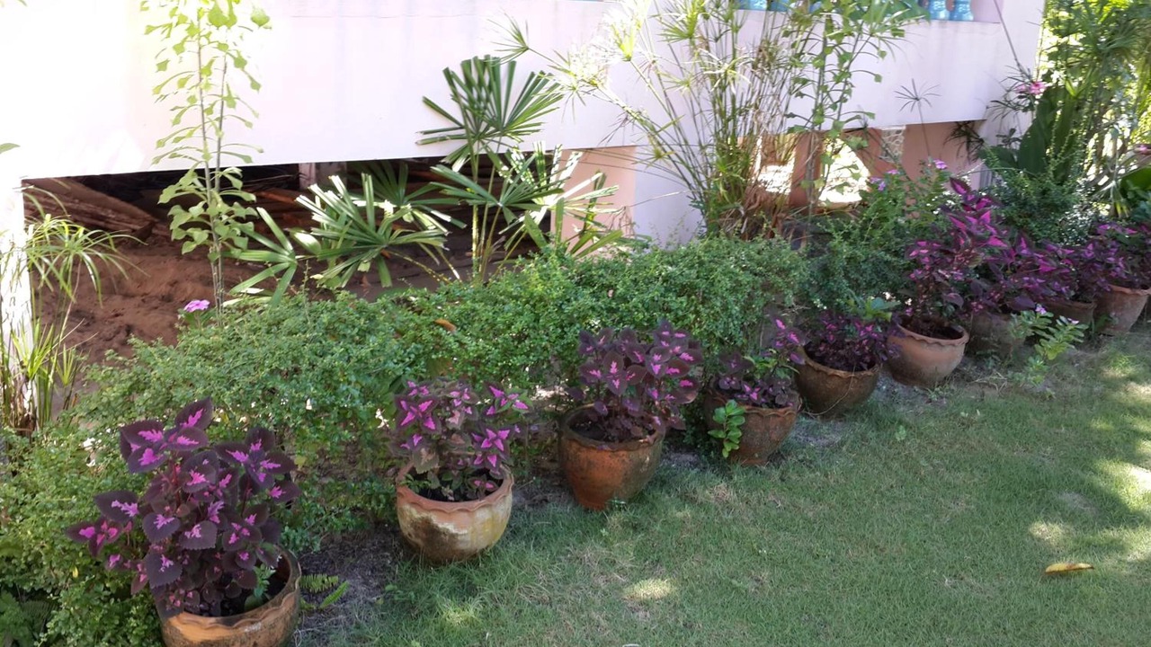Photo of Outdoor in Laem Sing