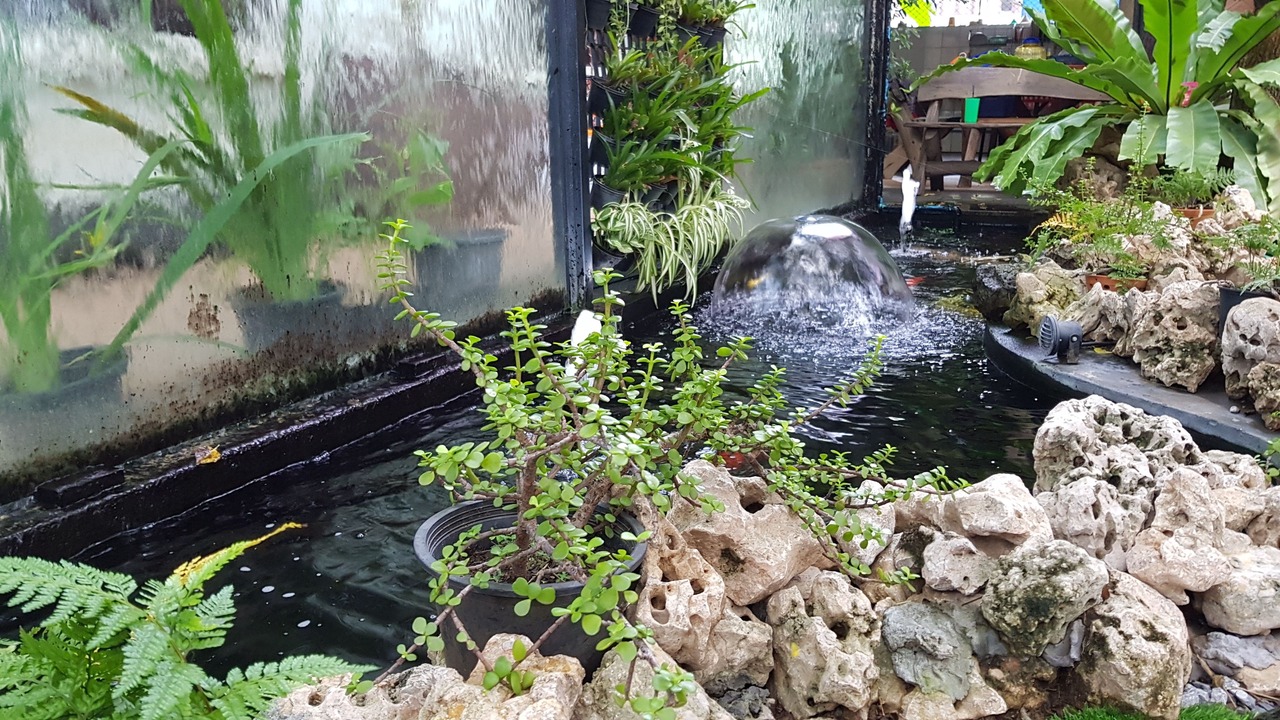 Photo of Outdoor in Mak Khaeng