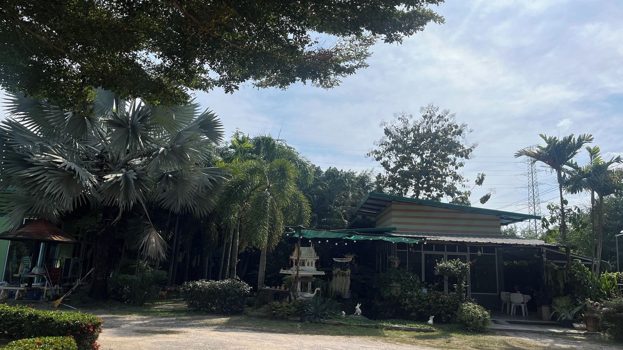Photo of Outdoor in Lamphun