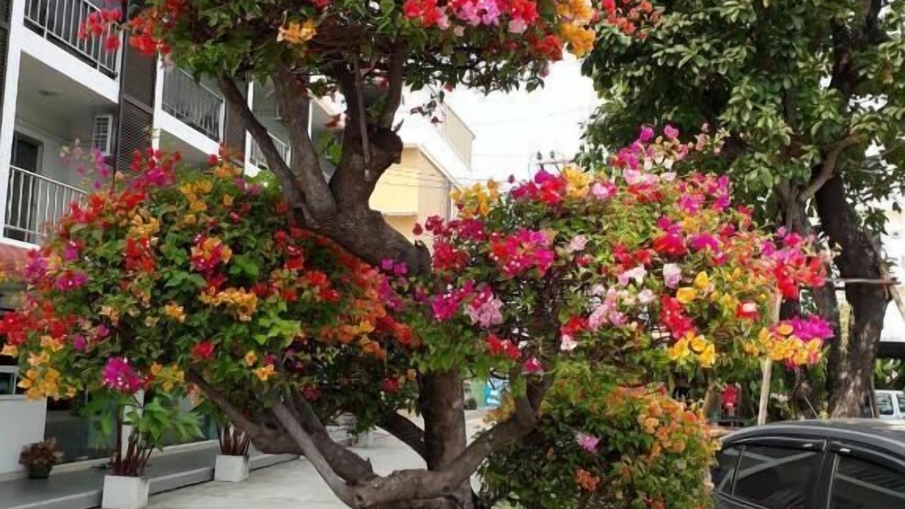 Photo of Outdoor in Samut Sakhon