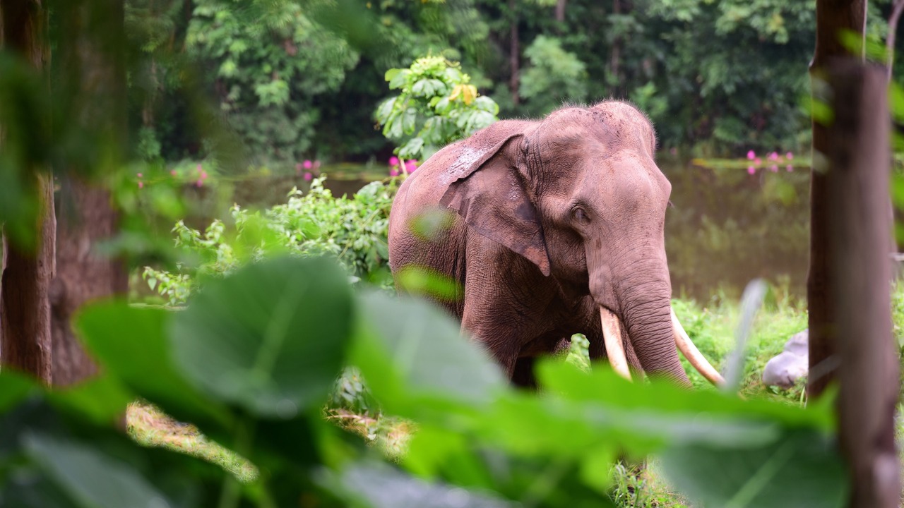 Photo of Outdoor in Kaeng Sopha