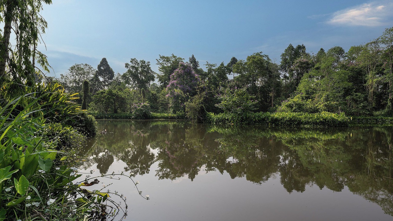 Photo of Others in Kaeng Sopha