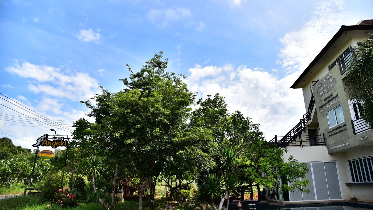 Photo of Others in Wang Pong
