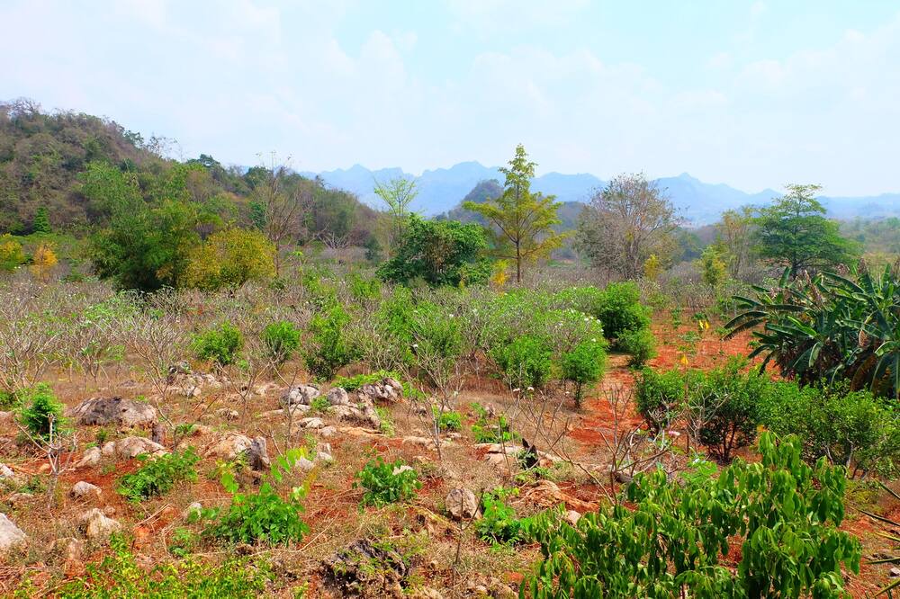 Photo of Outdoor in Sai Yok
