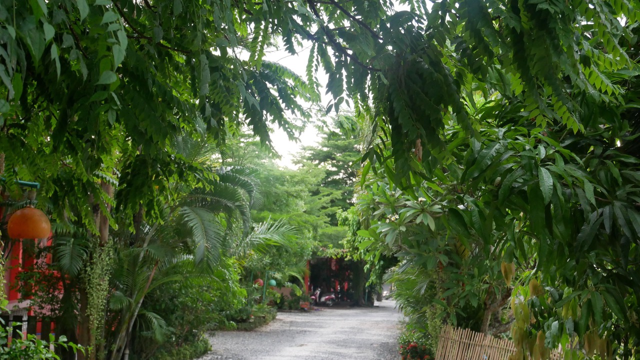Photo of Others in Uttaradit
