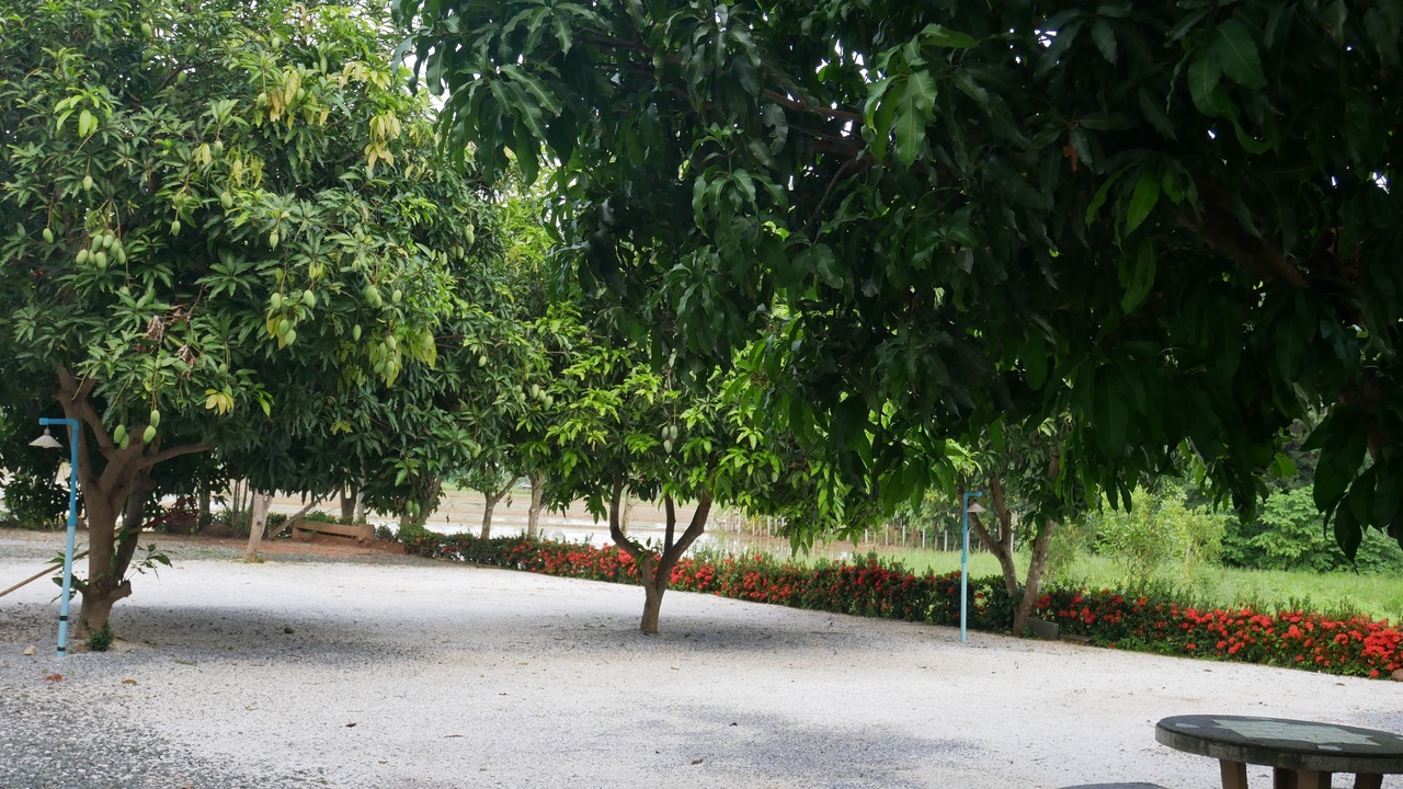 Photo of Others in Uttaradit