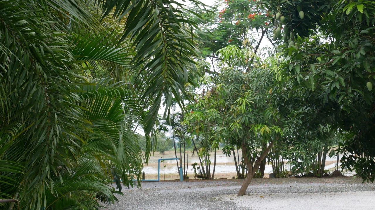 Photo of Others in Uttaradit