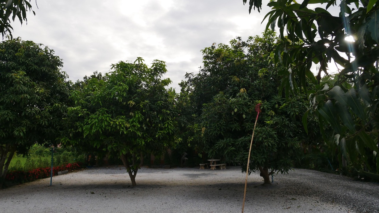 Photo of Others in Uttaradit