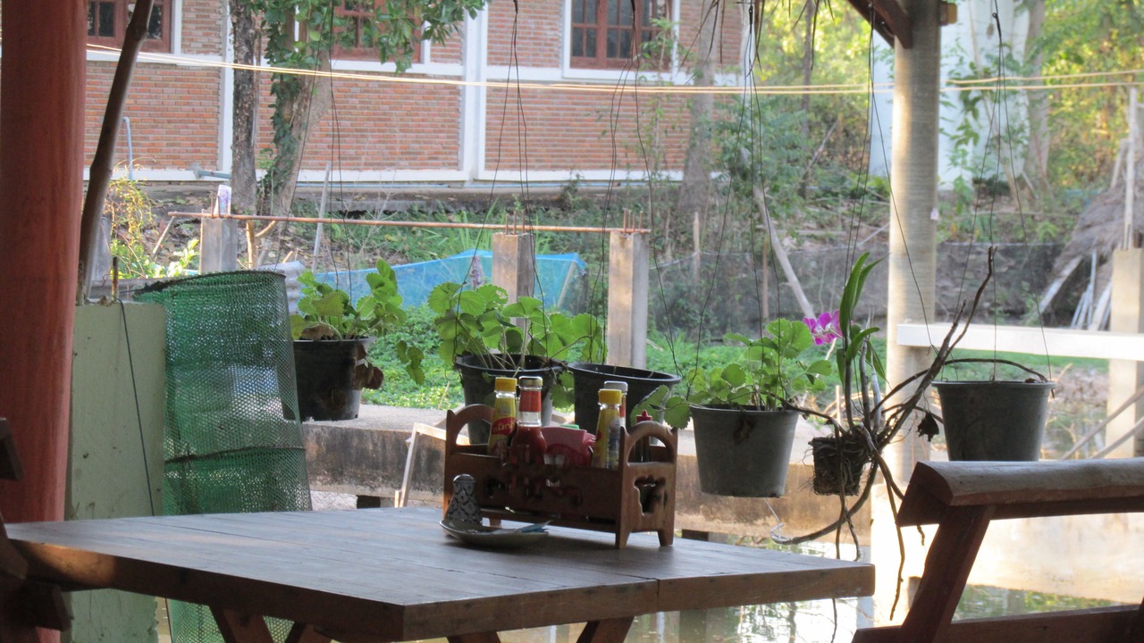 Photo of Others in Sukhothai