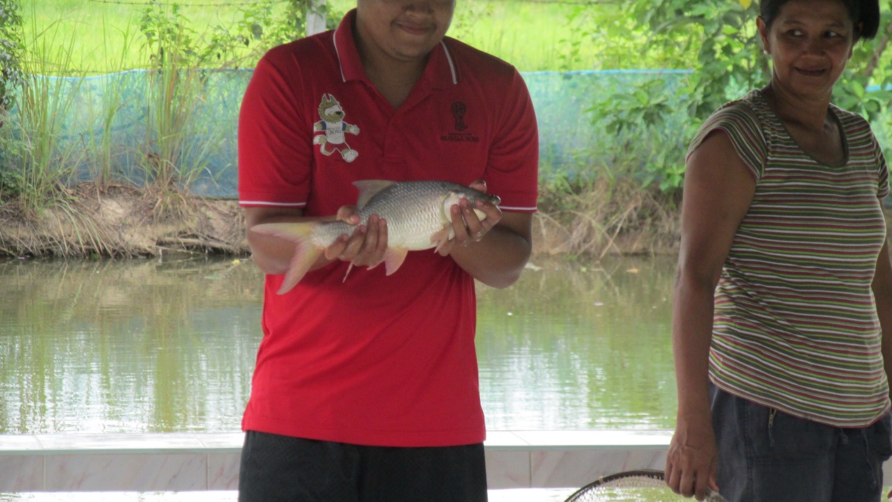 Photo of Outdoor in Sukhothai