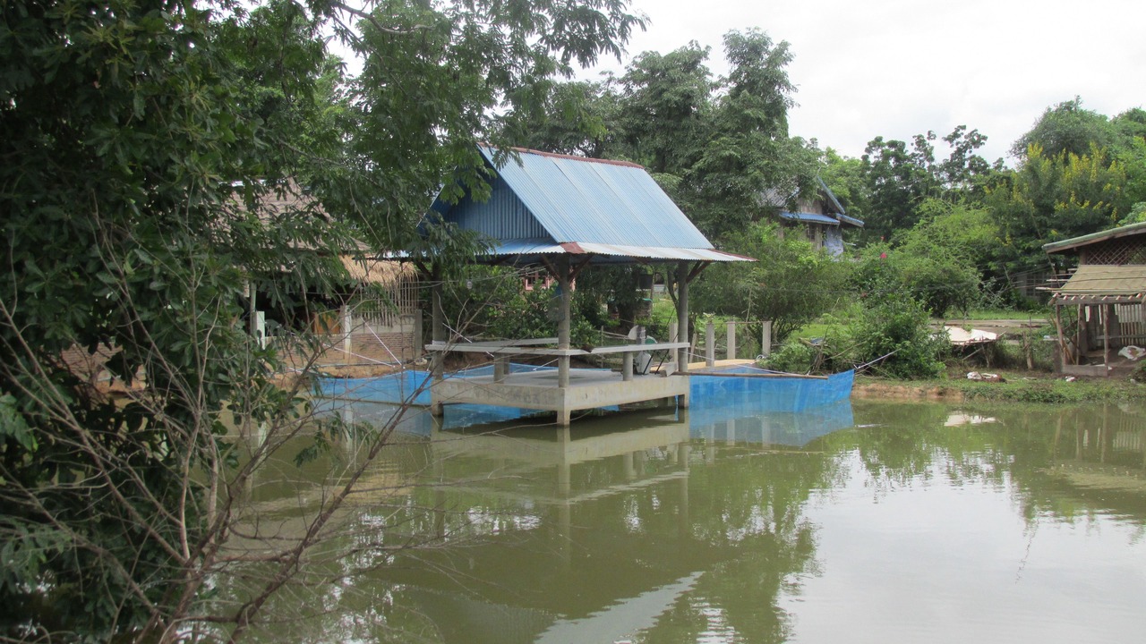 Photo of Others in Sukhothai