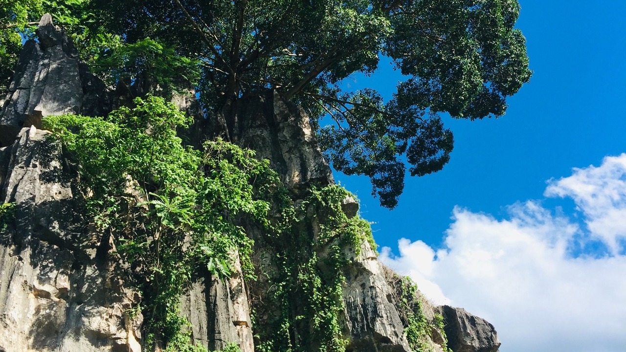Photo of Others in Nong Hin