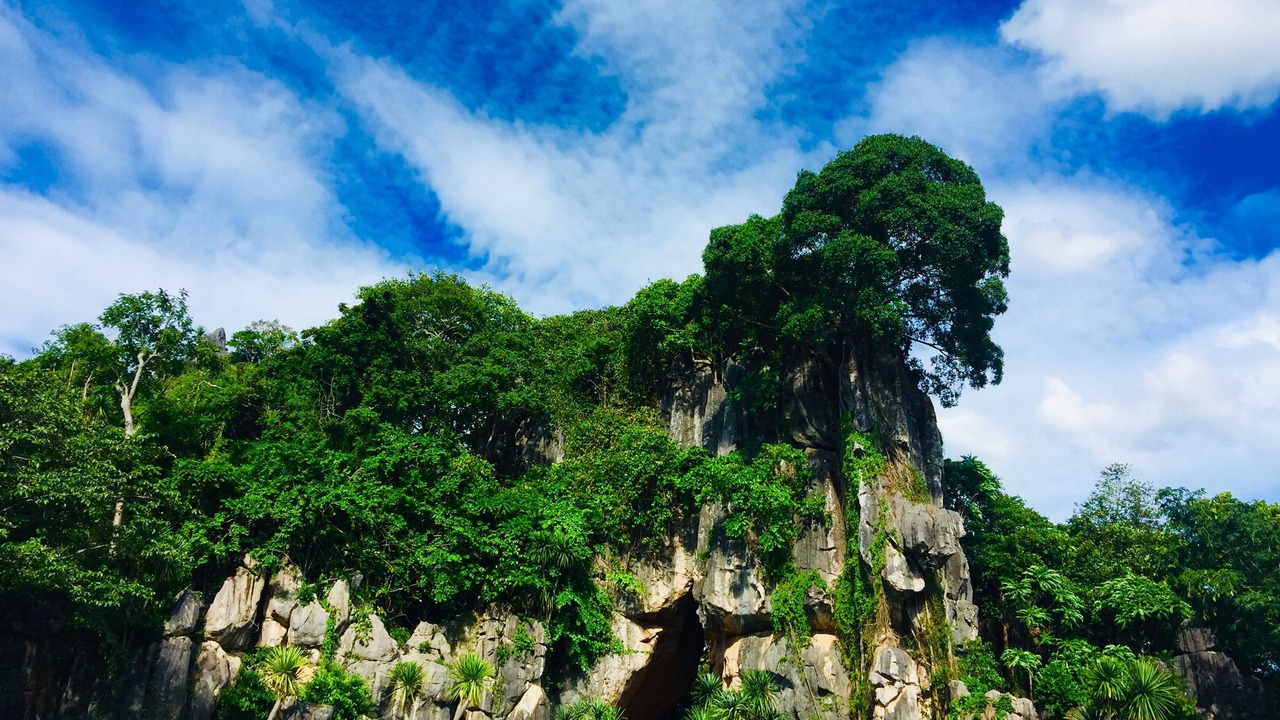 Photo of Others in Nong Hin