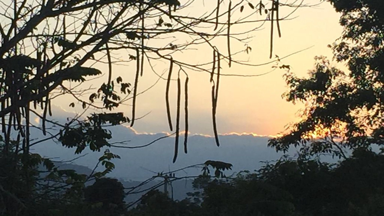 Photo of Outdoor in Pong Ta Long
