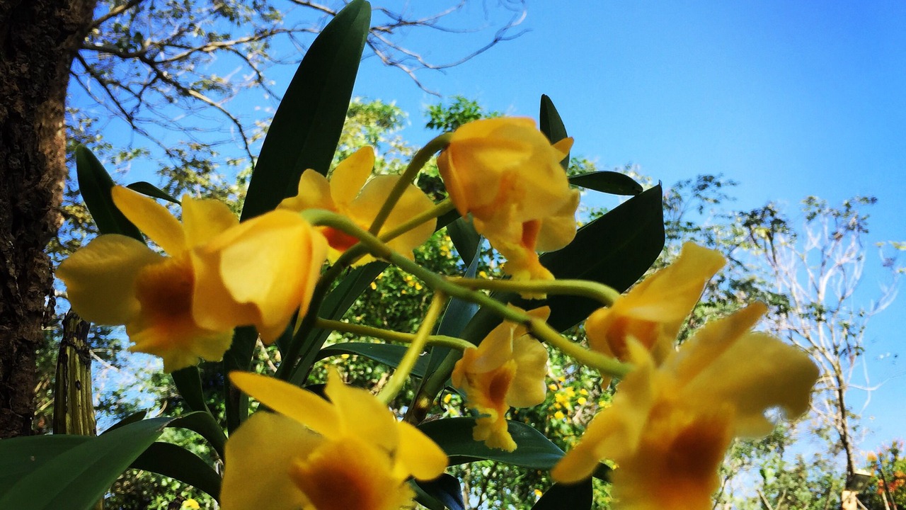 Photo of Outdoor in Pong Ta Long