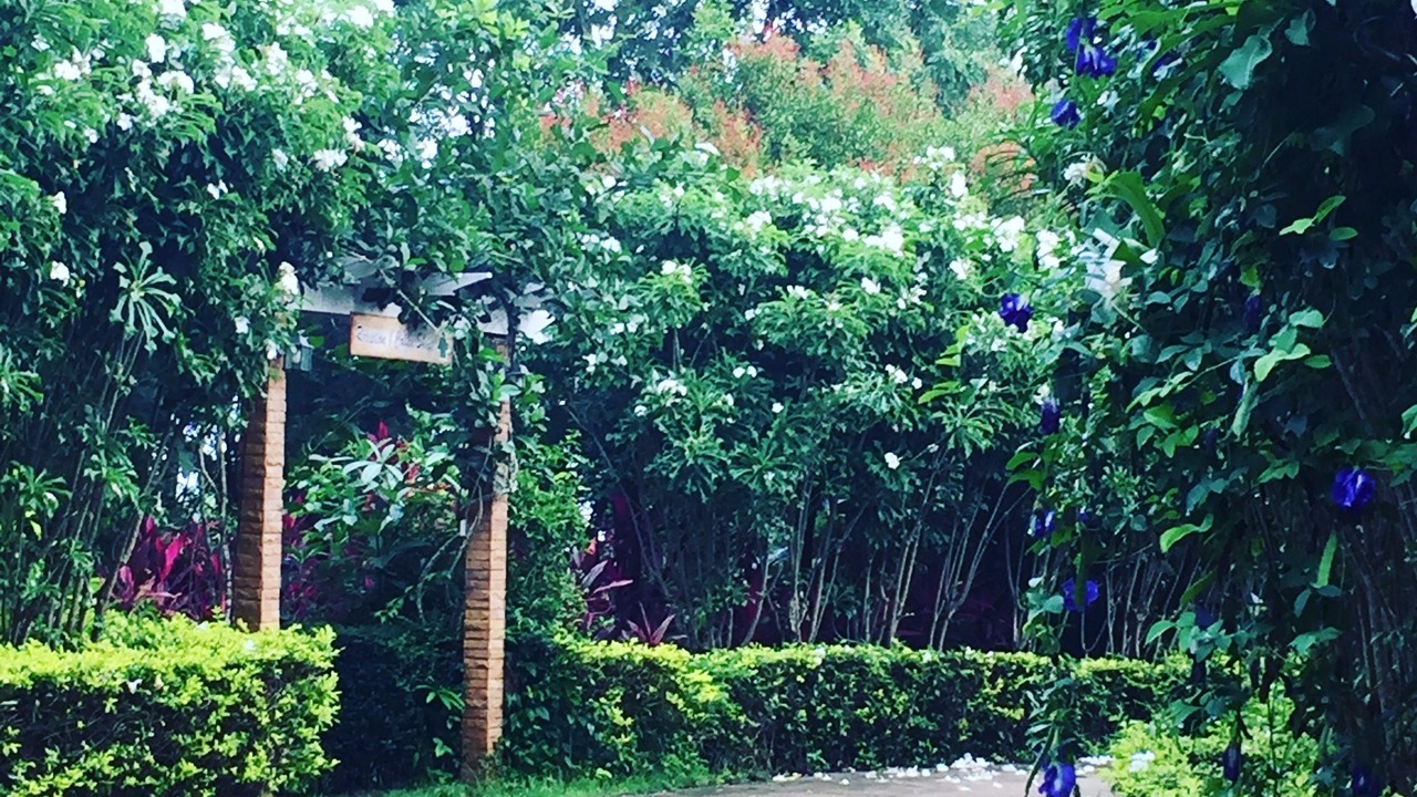 Photo of Outdoor in Pong Ta Long