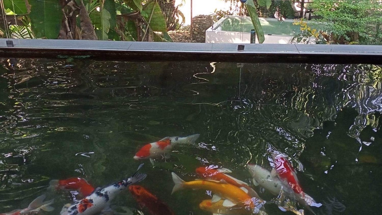 Photo of Outdoor in Ranong