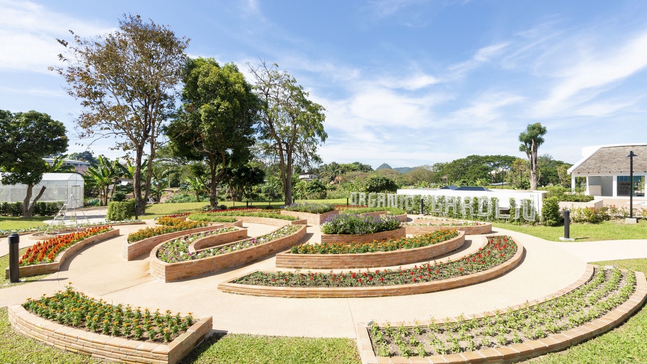 Photo of Outdoor in Chiang Rai