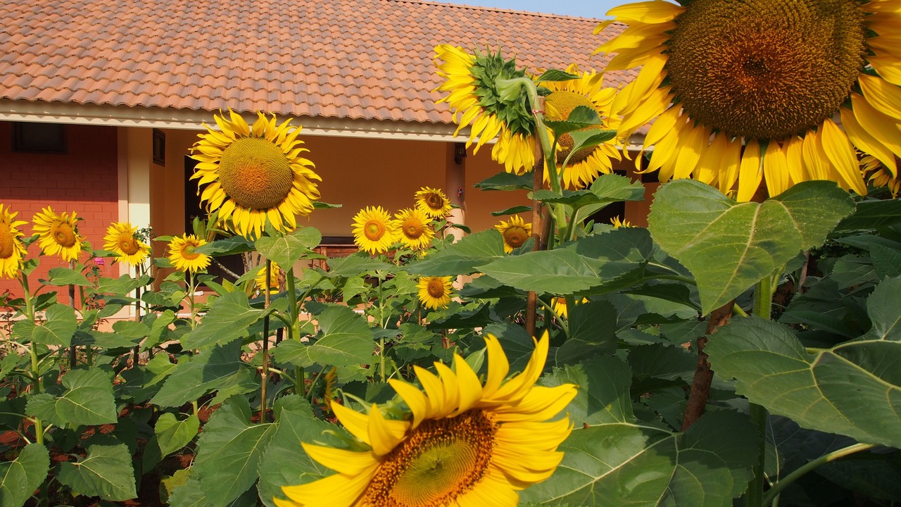 Photo of Outdoor in Chanthaburi