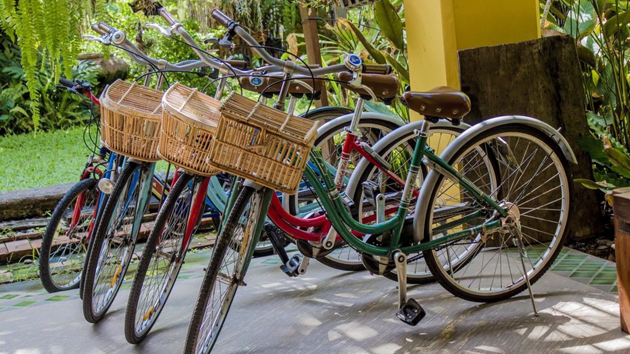 Photo of Outdoor in Wiang Nuea