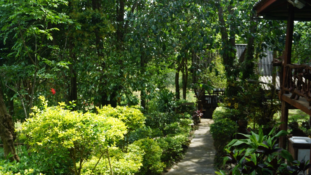 Photo of Outdoor in Ban Rai