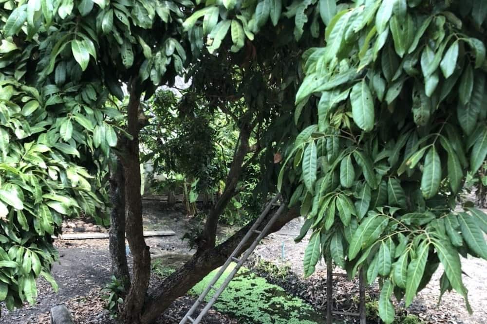 Photo of Outdoor in Damnoen Saduak