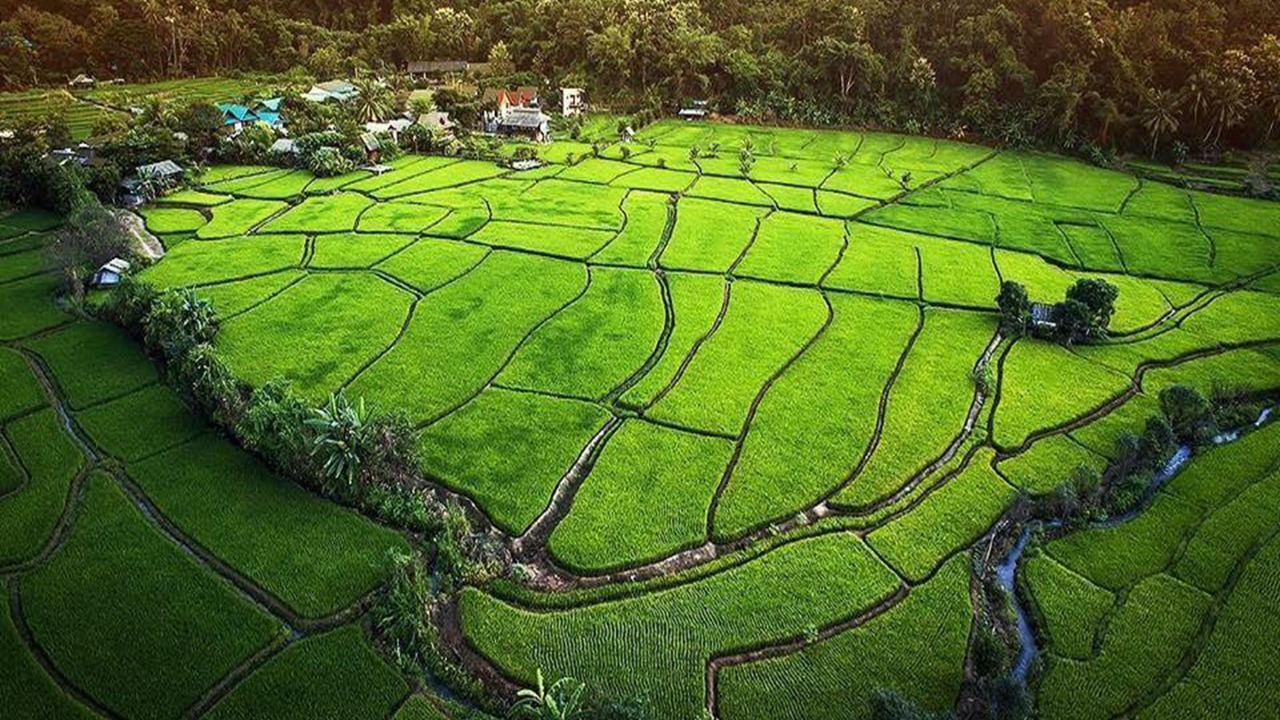 Photo of Outdoor in Mae La Noi