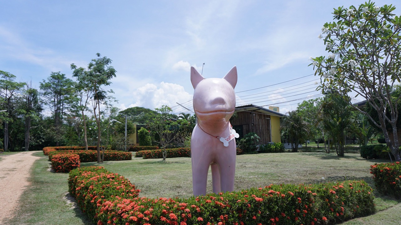 Photo of Outdoor in Lampang