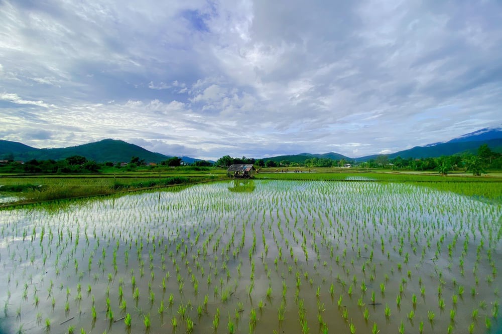 Photo of Others in Mae Chaem