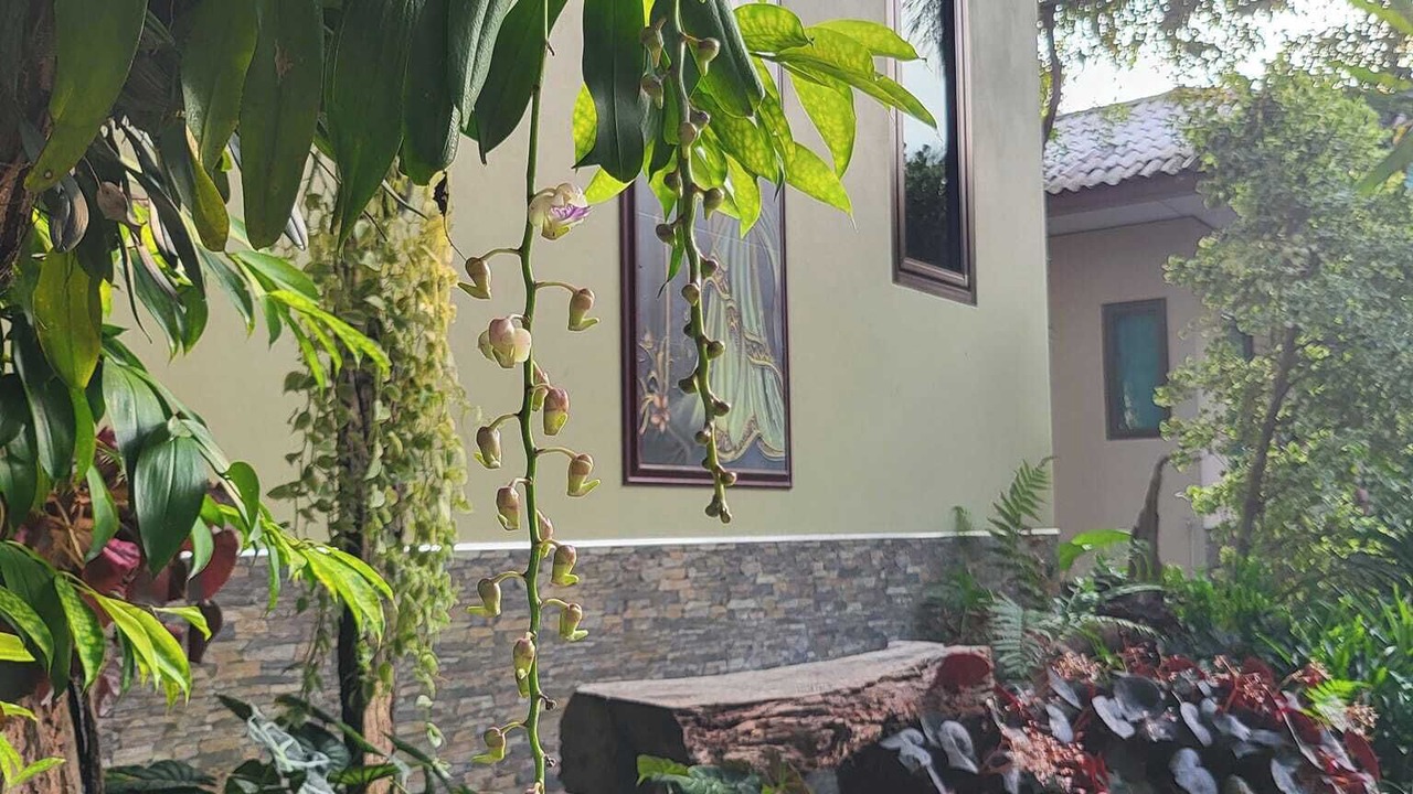 Photo of Outdoor in Trat