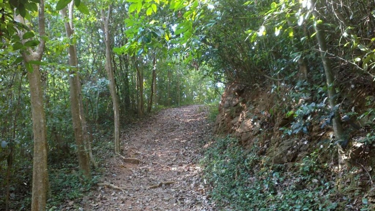 Photo of Outdoor in Rayong