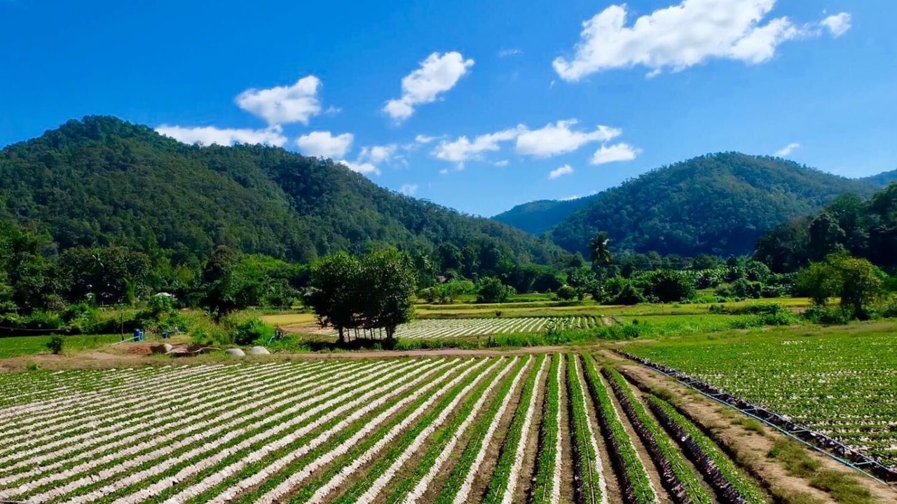Photo of Outdoor in Samoeng